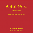 武定县宣传志1934-2013 PDF电子版