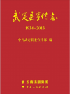 武定县宣传志  1934-2013     PDF电子版