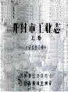 开封市工业志 上 征求意见稿 PDF电子版下载