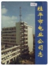桂平市电业公司志_1999版_PDF电子版下载