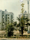 宜昌市房地志             1992年版             PDF电子版下载