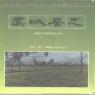 河南省虞城县志.pdf下载