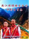 怒江傈僳族自治州计划生育志                  2000年版                 PDF电子版下载