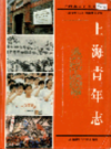 上海青年志                    2002年版                      PDF电子版下载