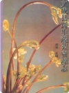 文成县野生蔬菜资源志(浙江省文成县地方志)_2000版_PDF电子版下载