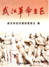 武汉革命老区    (湖北省武汉市地方志)                   2004年版                      PDF电子版下载           