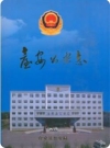 台安公安志(台安县地方志)2008版PDF电子版下载