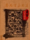 番禺百年图鉴 1900-2000 广州出版社2005版PDF电子版