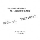 巴马瑶族自治县概况.pdf下载