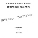 都安瑶族自治县概况.pdf下载