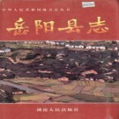 湖南省岳阳县志.pdf下载