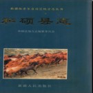 新疆 和硕县志.pdf下载