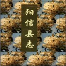 山东省阳信县志.pdf下载