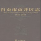 四川省自贡市贡井区志1986-2005.pdf下载