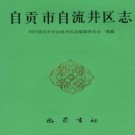 四川省自贡市自流井区志.pdf下载