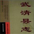 天津市武清县志1991-2000.pdf下载