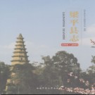 重庆市梁平县志1986-2005.pdf下载