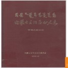 内蒙古自治区地名志 哲里木盟分册 1990版.PDF电子版下载